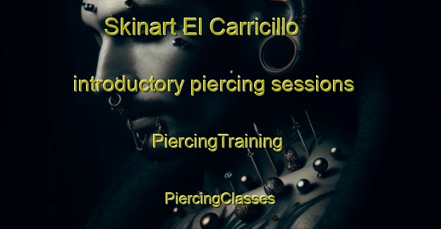 Skinart El Carricillo introductory piercing sessions | #PiercingTraining #PiercingClasses #SkinartTraining-Mexico