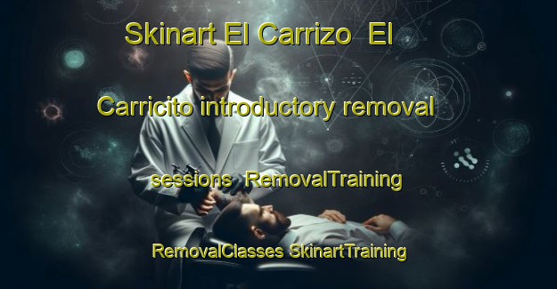 Skinart El Carrizo  El Carricito introductory removal sessions | #RemovalTraining #RemovalClasses #SkinartTraining-Mexico