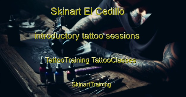 Skinart El Cedillo introductory tattoo sessions | #TattooTraining #TattooClasses #SkinartTraining-Mexico