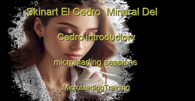 Skinart El Cedro  Mineral Del Cedro introductory microblading sessions | #MicrobladingTraining #MicrobladingClasses #SkinartTraining-Mexico