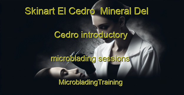 Skinart El Cedro  Mineral Del Cedro introductory microblading sessions | #MicrobladingTraining #MicrobladingClasses #SkinartTraining-Mexico