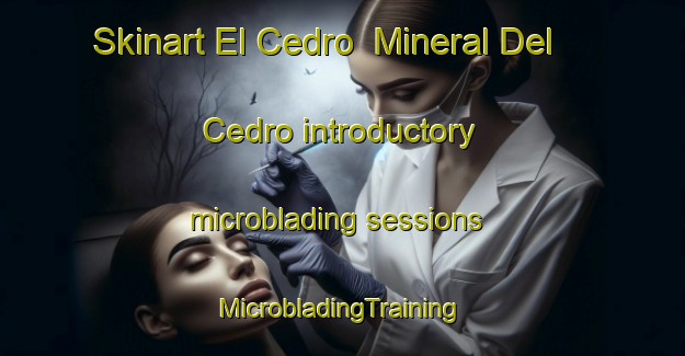 Skinart El Cedro  Mineral Del Cedro introductory microblading sessions | #MicrobladingTraining #MicrobladingClasses #SkinartTraining-Mexico