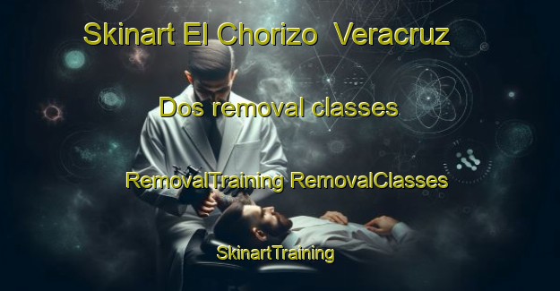 Skinart El Chorizo  Veracruz Dos removal classes | #RemovalTraining #RemovalClasses #SkinartTraining-Mexico