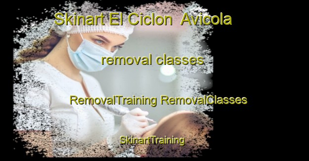 Skinart El Ciclon  Avicola removal classes | #RemovalTraining #RemovalClasses #SkinartTraining-Mexico