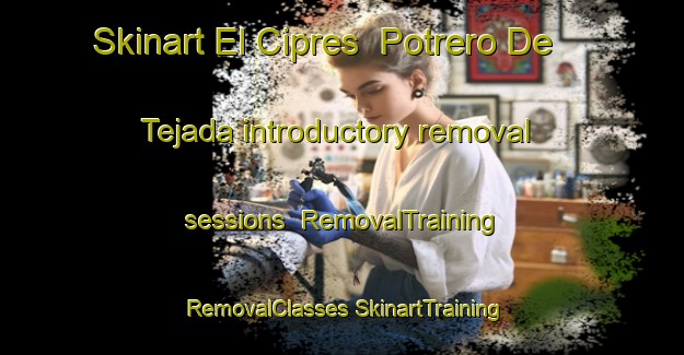 Skinart El Cipres  Potrero De Tejada introductory removal sessions | #RemovalTraining #RemovalClasses #SkinartTraining-Mexico