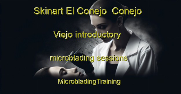 Skinart El Conejo  Conejo Viejo introductory microblading sessions | #MicrobladingTraining #MicrobladingClasses #SkinartTraining-Mexico