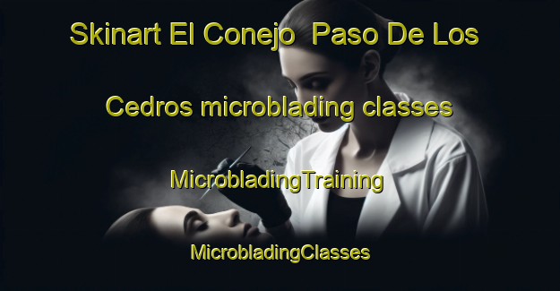 Skinart El Conejo  Paso De Los Cedros microblading classes | #MicrobladingTraining #MicrobladingClasses #SkinartTraining-Mexico