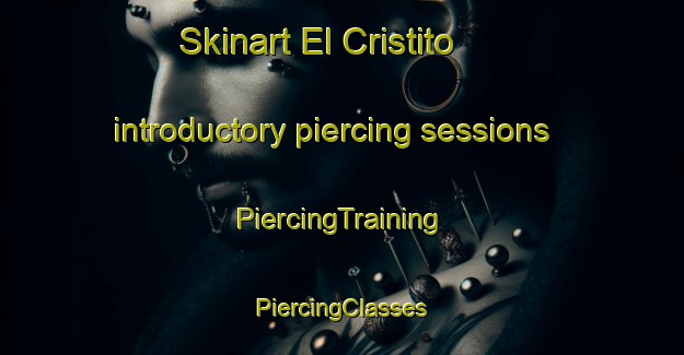 Skinart El Cristito introductory piercing sessions | #PiercingTraining #PiercingClasses #SkinartTraining-Mexico