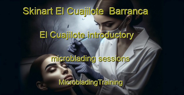 Skinart El Cuajilote  Barranca El Cuajilote introductory microblading sessions | #MicrobladingTraining #MicrobladingClasses #SkinartTraining-Mexico