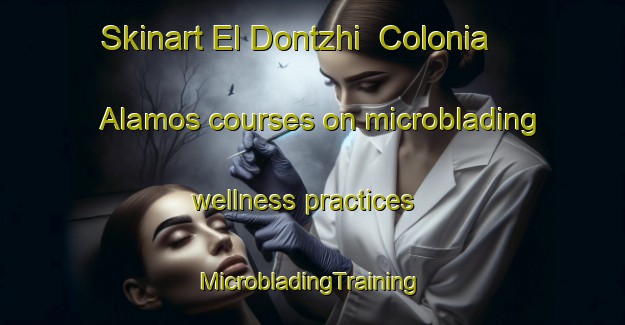 Skinart El Dontzhi  Colonia Alamos courses on microblading wellness practices | #MicrobladingTraining #MicrobladingClasses #SkinartTraining-Mexico