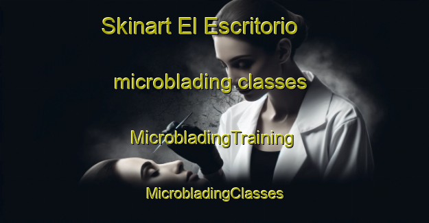 Skinart El Escritorio microblading classes | #MicrobladingTraining #MicrobladingClasses #SkinartTraining-Mexico