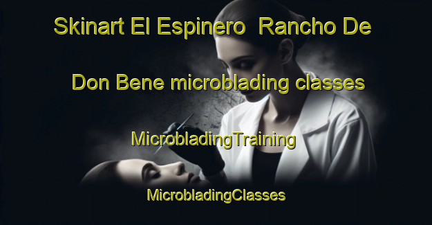 Skinart El Espinero  Rancho De Don Bene microblading classes | #MicrobladingTraining #MicrobladingClasses #SkinartTraining-Mexico