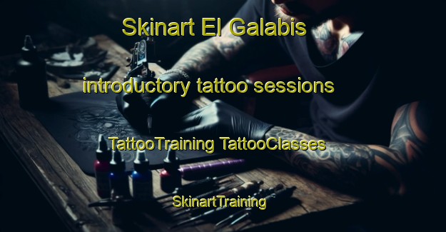 Skinart El Galabis introductory tattoo sessions | #TattooTraining #TattooClasses #SkinartTraining-Mexico