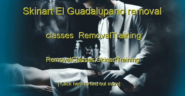 Skinart El Guadalupano removal classes | #RemovalTraining #RemovalClasses #SkinartTraining-Mexico