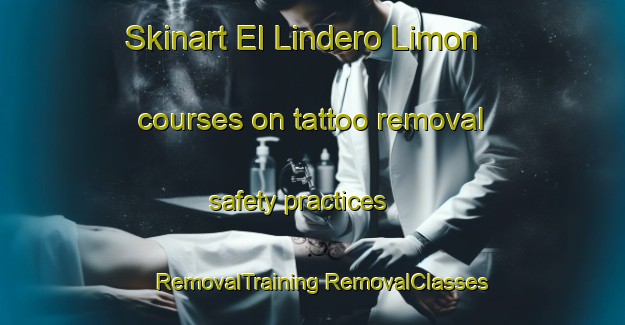 Skinart El Lindero Limon courses on tattoo removal safety practices | #RemovalTraining #RemovalClasses #SkinartTraining-Mexico