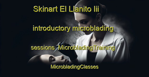 Skinart El Llanito Iii introductory microblading sessions | #MicrobladingTraining #MicrobladingClasses #SkinartTraining-Mexico