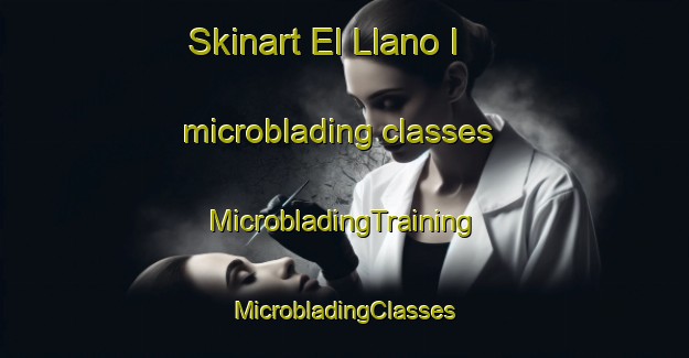 Skinart El Llano I microblading classes | #MicrobladingTraining #MicrobladingClasses #SkinartTraining-Mexico