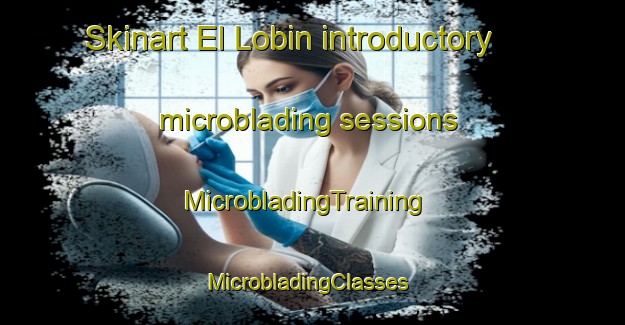 Skinart El Lobin introductory microblading sessions | MicrobladingTraining | MicrobladingClasses | SkinartTraining-Mexico