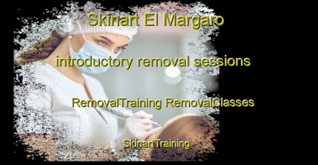 Skinart El Margaro introductory removal sessions | #RemovalTraining #RemovalClasses #SkinartTraining-Mexico