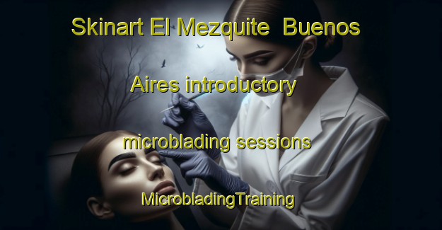 Skinart El Mezquite  Buenos Aires introductory microblading sessions | #MicrobladingTraining #MicrobladingClasses #SkinartTraining-Mexico