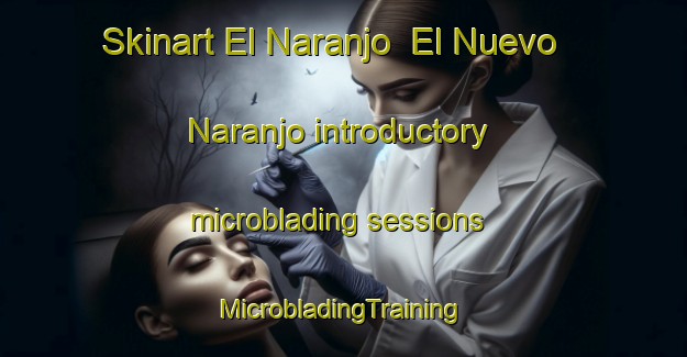 Skinart El Naranjo  El Nuevo Naranjo introductory microblading sessions | #MicrobladingTraining #MicrobladingClasses #SkinartTraining-Mexico