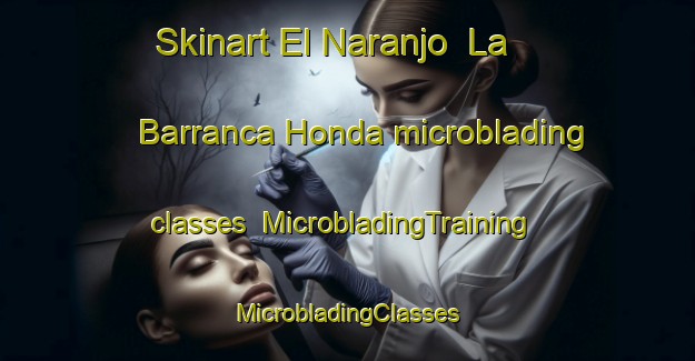 Skinart El Naranjo  La Barranca Honda microblading classes | #MicrobladingTraining #MicrobladingClasses #SkinartTraining-Mexico