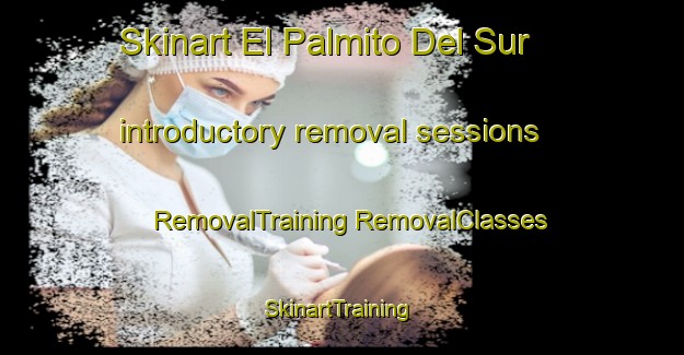 Skinart El Palmito Del Sur introductory removal sessions | #RemovalTraining #RemovalClasses #SkinartTraining-Mexico