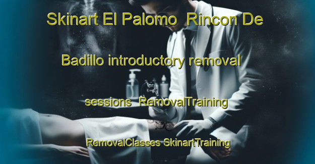 Skinart El Palomo  Rincon De Badillo introductory removal sessions | #RemovalTraining #RemovalClasses #SkinartTraining-Mexico