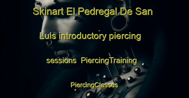 Skinart El Pedregal De San Luis introductory piercing sessions | #PiercingTraining #PiercingClasses #SkinartTraining-Mexico