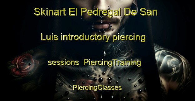 Skinart El Pedregal De San Luis introductory piercing sessions | #PiercingTraining #PiercingClasses #SkinartTraining-Mexico