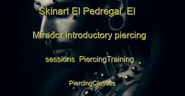 Skinart El Pedregal  El Mirador introductory piercing sessions | #PiercingTraining #PiercingClasses #SkinartTraining-Mexico