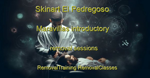 Skinart El Pedregoso  Maravillas introductory removal sessions | #RemovalTraining #RemovalClasses #SkinartTraining-Mexico