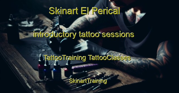 Skinart El Perical introductory tattoo sessions | #TattooTraining #TattooClasses #SkinartTraining-Mexico