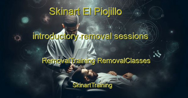 Skinart El Piojillo introductory removal sessions | #RemovalTraining #RemovalClasses #SkinartTraining-Mexico