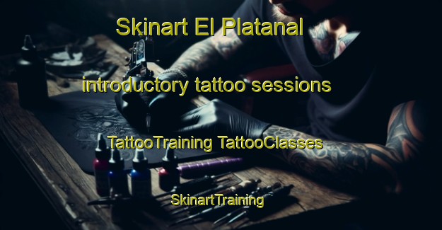 Skinart El Platanal introductory tattoo sessions | #TattooTraining #TattooClasses #SkinartTraining-Mexico