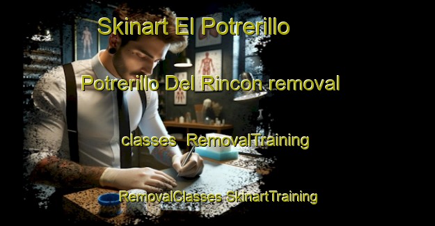 Skinart El Potrerillo  Potrerillo Del Rincon removal classes | #RemovalTraining #RemovalClasses #SkinartTraining-Mexico