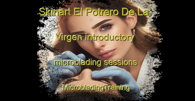 Skinart El Potrero De La Virgen introductory microblading sessions | #MicrobladingTraining #MicrobladingClasses #SkinartTraining-Mexico