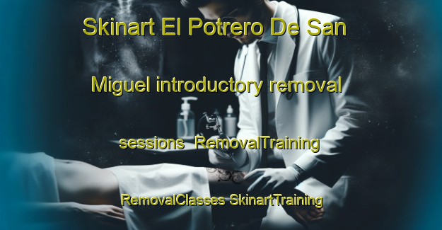 Skinart El Potrero De San Miguel introductory removal sessions | #RemovalTraining #RemovalClasses #SkinartTraining-Mexico