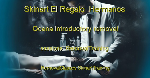 Skinart El Regalo  Hermanos Ocana introductory removal sessions | #RemovalTraining #RemovalClasses #SkinartTraining-Mexico