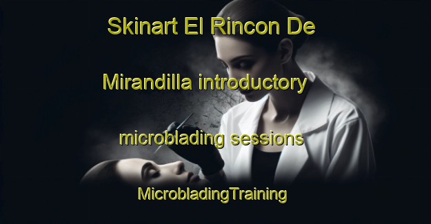 Skinart El Rincon De Mirandilla introductory microblading sessions | #MicrobladingTraining #MicrobladingClasses #SkinartTraining-Mexico