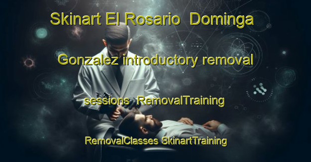 Skinart El Rosario  Dominga Gonzalez introductory removal sessions | #RemovalTraining #RemovalClasses #SkinartTraining-Mexico