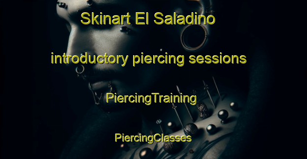 Skinart El Saladino introductory piercing sessions | #PiercingTraining #PiercingClasses #SkinartTraining-Mexico