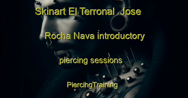 Skinart El Terronal  Jose Rocha Nava introductory piercing sessions | #PiercingTraining #PiercingClasses #SkinartTraining-Mexico