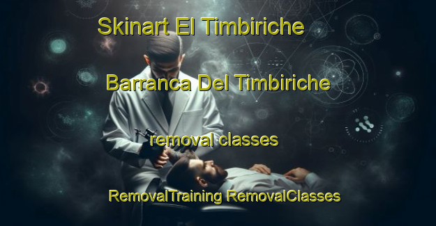 Skinart El Timbiriche  Barranca Del Timbiriche removal classes | #RemovalTraining #RemovalClasses #SkinartTraining-Mexico