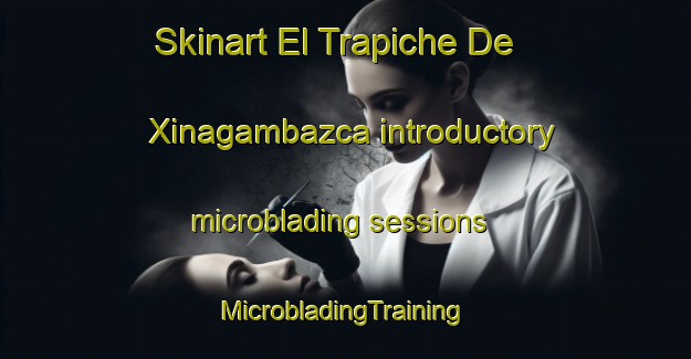 Skinart El Trapiche De Xinagambazca introductory microblading sessions | #MicrobladingTraining #MicrobladingClasses #SkinartTraining-Mexico