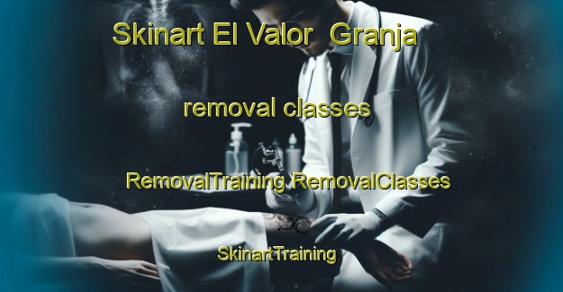 Skinart El Valor  Granja removal classes | #RemovalTraining #RemovalClasses #SkinartTraining-Mexico