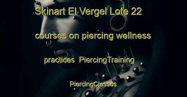 Skinart El Vergel Lote 22 courses on piercing wellness practices | #PiercingTraining #PiercingClasses #SkinartTraining-Mexico