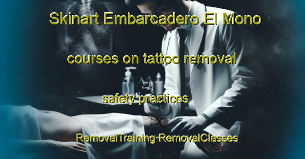 Skinart Embarcadero El Mono courses on tattoo removal safety practices | #RemovalTraining #RemovalClasses #SkinartTraining-Mexico