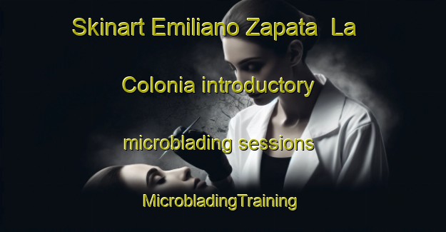 Skinart Emiliano Zapata  La Colonia introductory microblading sessions | #MicrobladingTraining #MicrobladingClasses #SkinartTraining-Mexico