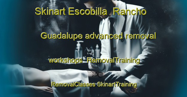 Skinart Escobilla  Rancho Guadalupe advanced removal workshops | #RemovalTraining #RemovalClasses #SkinartTraining-Mexico